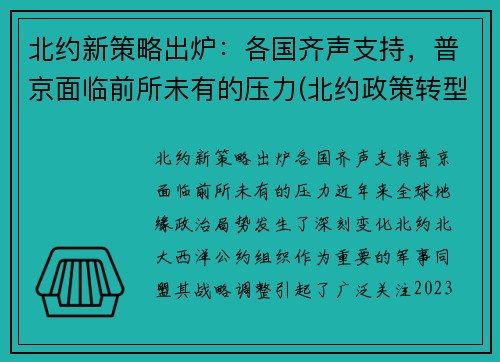 北约新策略出炉：各国齐声支持，普京面临前所未有的压力(北约政策转型)