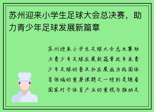 苏州迎来小学生足球大会总决赛，助力青少年足球发展新篇章